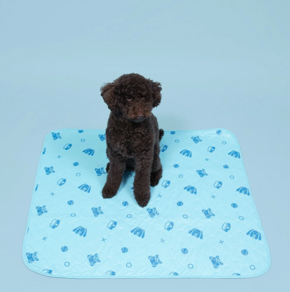 PuddleFree® Pad: The Sturdy Leak-Proof Pet Mat