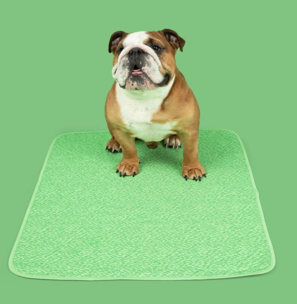 PuddleFree® Pad: The Sturdy Leak-Proof Pet Mat