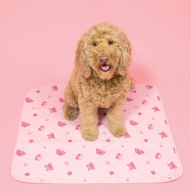 PuddleFree® Pad: The Sturdy Leak-Proof Pet Mat